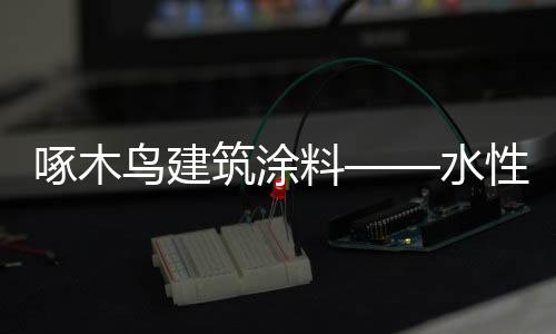 啄木筑涂公司成立于2003年
