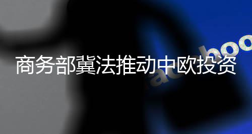 推动协定尽早签署生效