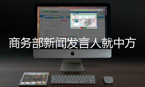 严重违反世贸组织规则