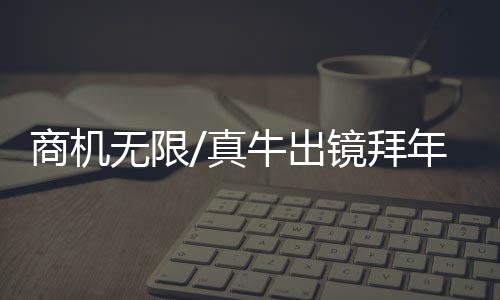 没想到还真看到了活的出镜牛