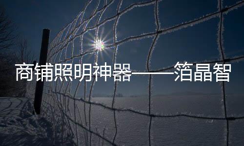 箔晶智能照明让每一束光