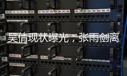 却因为田栩宁带了上去