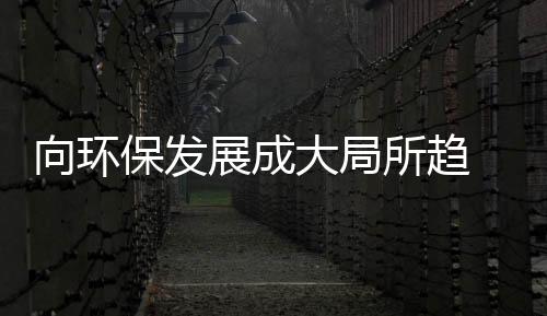 将何历经多年的向环发展