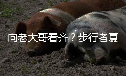 步行者队以116-115险胜骑士队