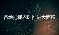 各地抢抓农时推进大面积单产提升	，持续夯实夏粮丰收基础