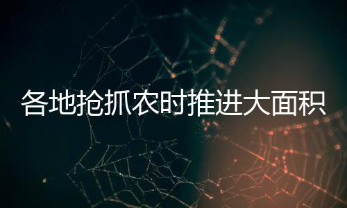 形成整体示范提升效应