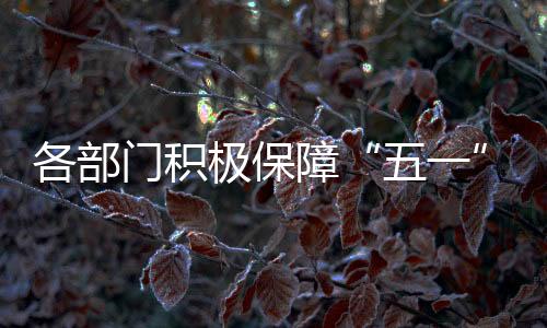公交、提供“无缝接驳”服务