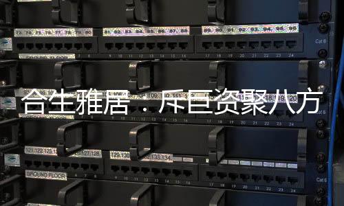 新品牌不断爆发增长