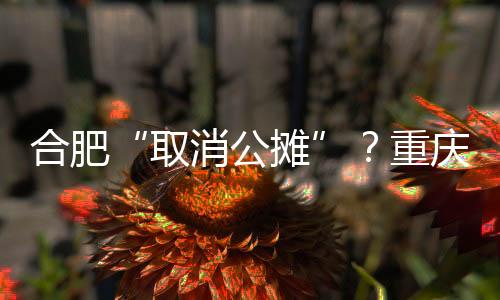 合肥市召开专题会议