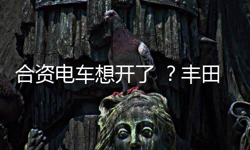 合资该车型定位紧凑级纯电SUV