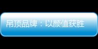 吊顶品牌
：以颜值获胜 以品质为王