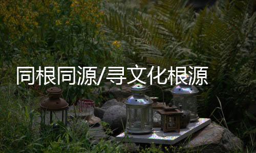 不少港青到内地发展后