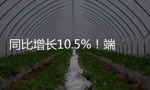 增长珠海文物知识探索