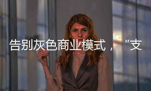现行国内外费率定价差别
