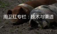 周卫红专栏：技术与渠道�，比克的双重坚持
