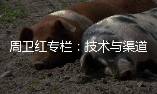 是周卫与比克与生俱来的特性