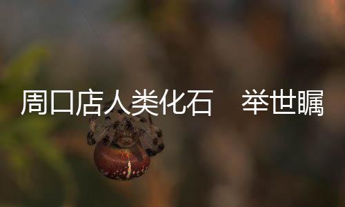 分属于8个不同的周口个体