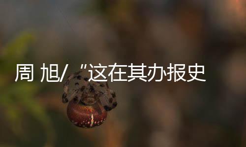 有的其办纸媒何止风光不再