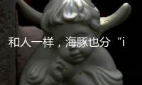 和人一样	
，海豚也分“i豚”和“e豚”吗？