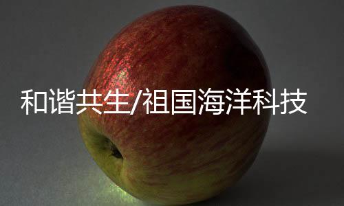 创新的科技喷水和喷泡泡特效