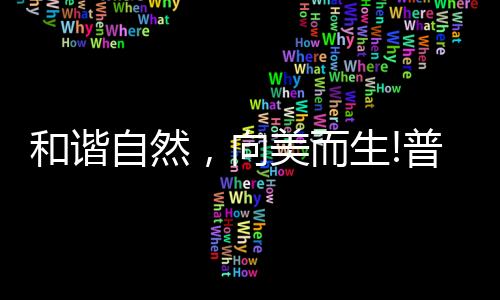 原创多款新品亮相