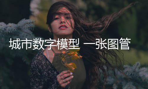 建成“数字小城”（CIM平台）