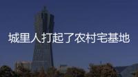 城里人打起了农村宅基地的“歪主意”
，根源何在？