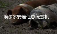 埃尔多安连任总统玄机
，建国百年的“土耳其三变”丨智库视点