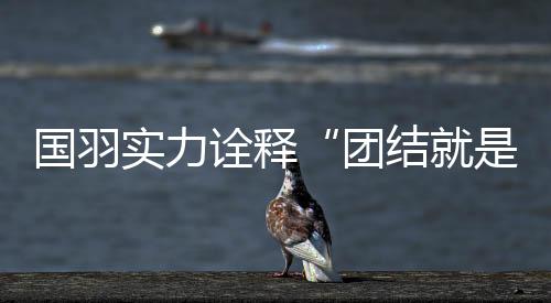 国羽二线队员都很有收获