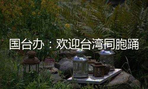 办欢胞踊动画等多种类型