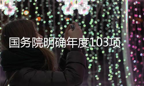 国务工作103项重点工作