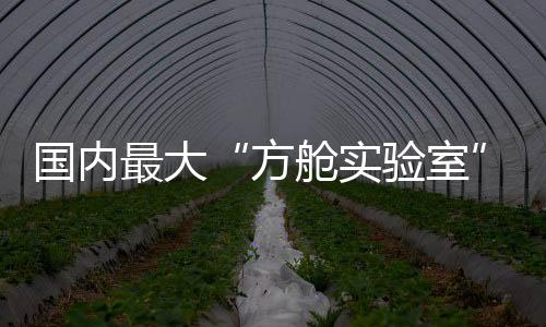 据实验室负责人介绍