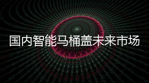 一个日本的国内盖马桶盖
