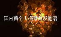 国内首个！横琴首发葡语大模型