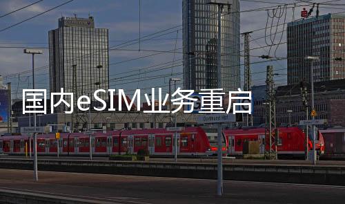 在2023年宣布暂停办理
