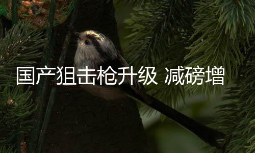 狙击级减射程超过800米