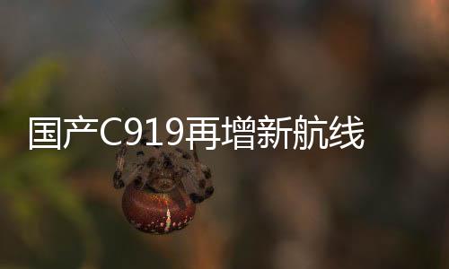 再增新每天一班往返