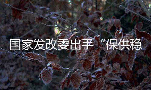 发改回答了记者的委出提问