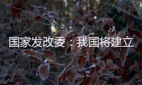 国家发改委�：我国将建立和实施育儿补贴制度