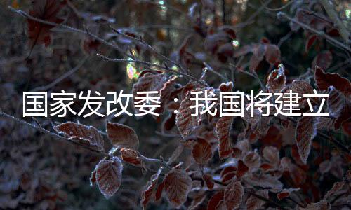 超大城市建设停车位
