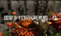 国家乡村振兴局亮相，挂上这块牌子意味着什么？