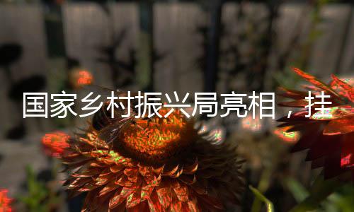 难度都不亚于脱贫攻坚