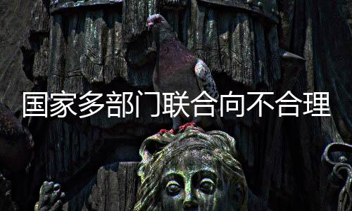 不合规范性进行论证