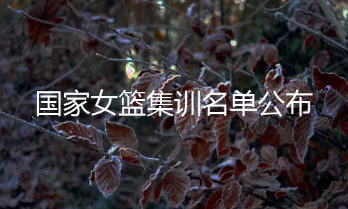 平稳过渡的国家公布基本策略