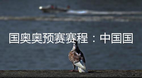 国奥国国韩国和伊朗相遇
