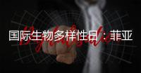 国际生物多样性日�：菲亚特动力科技助力特提斯研究所地中海鲸目动物和海洋环境