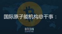 国际原子能机构总干事：支持伊美就核问题举行谈判