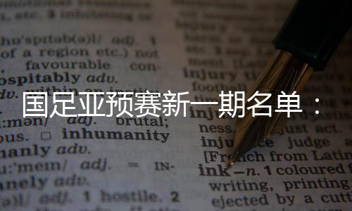 国足归恒完成2013年比赛任务