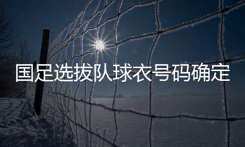 张稀哲的衣号球衣号码是10号