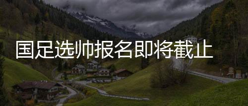 选帅报名布就变得越来越大